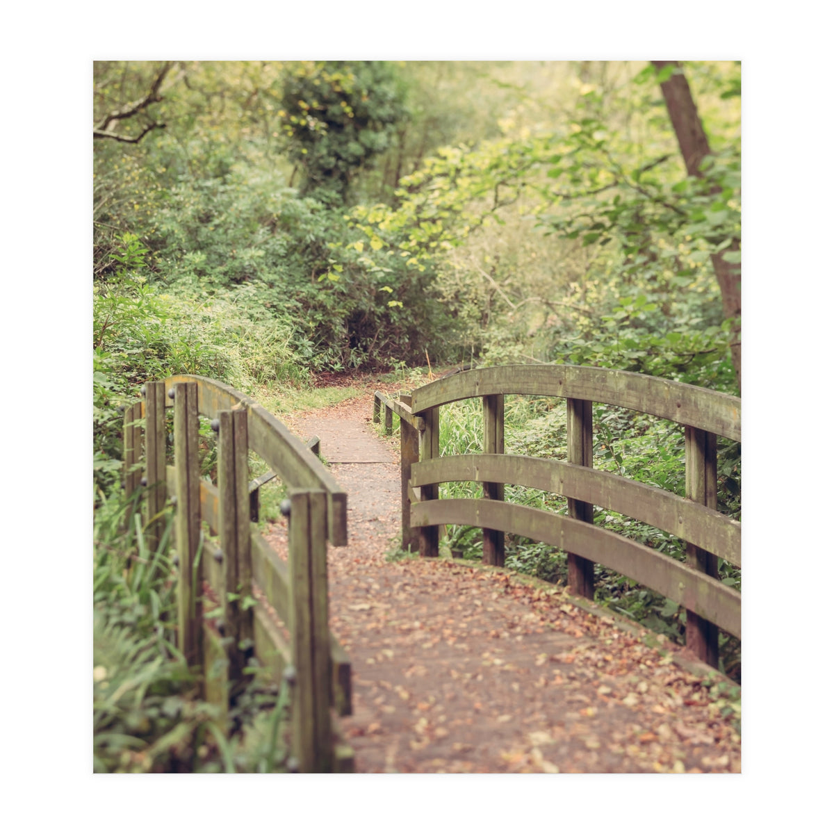 Path To The Bridge (Print Only)