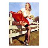 Pinup Girl Stacked On The Farm Fance (Print Only) thumbnail