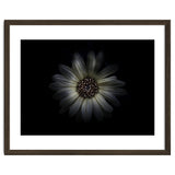 Backyard Flowers No 27 Color Version thumbnail