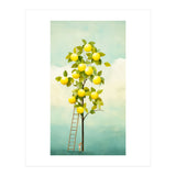 Lemon Tree  (Print Only) thumbnail