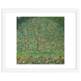 Apple Tree I, 1911 or 1912. Estates of Ferdinand and Adele Bloch-Bauer. thumbnail