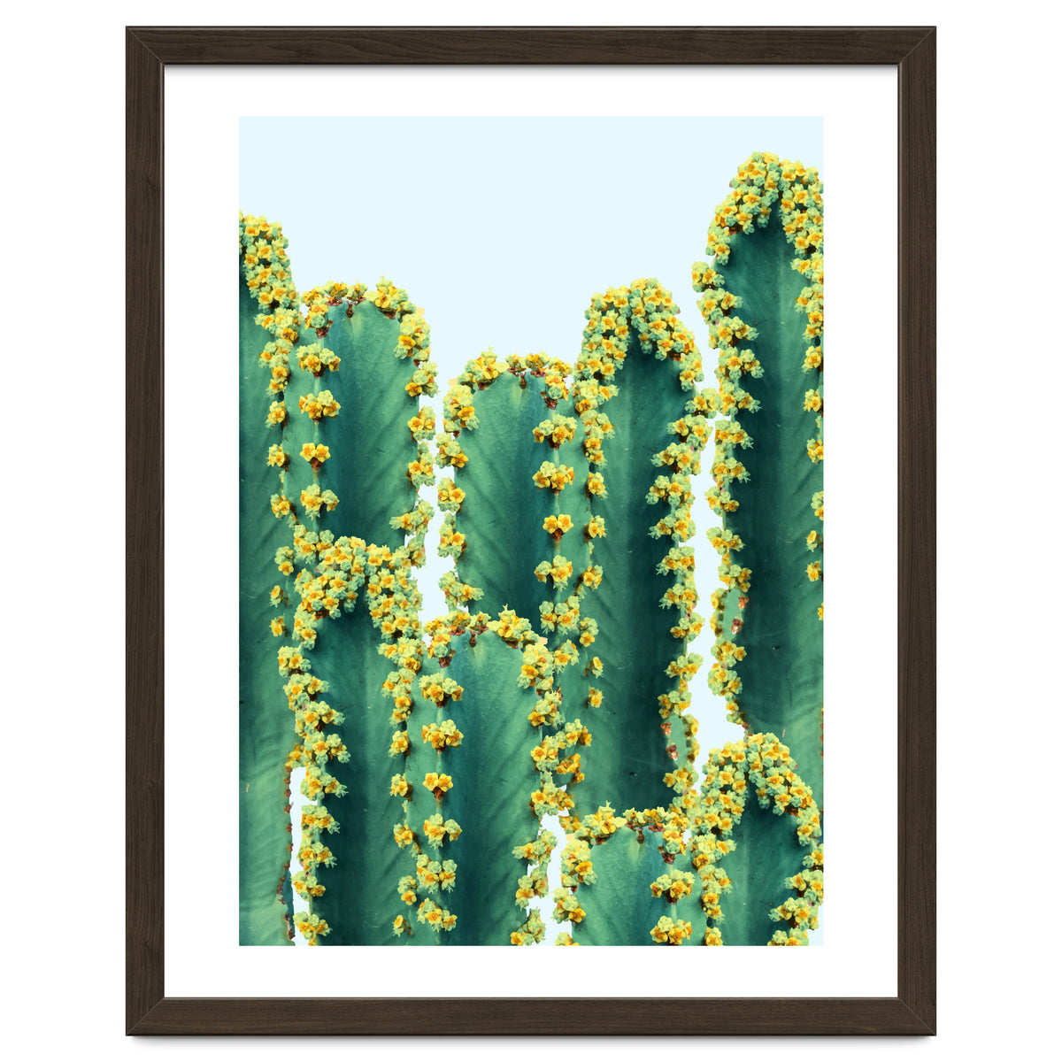 Adorned Cactus #society6 #artprints #buyart