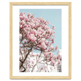 Spring Time thumbnail