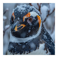 Penguin In Snow Falling Close Up Portrait (Print Only)