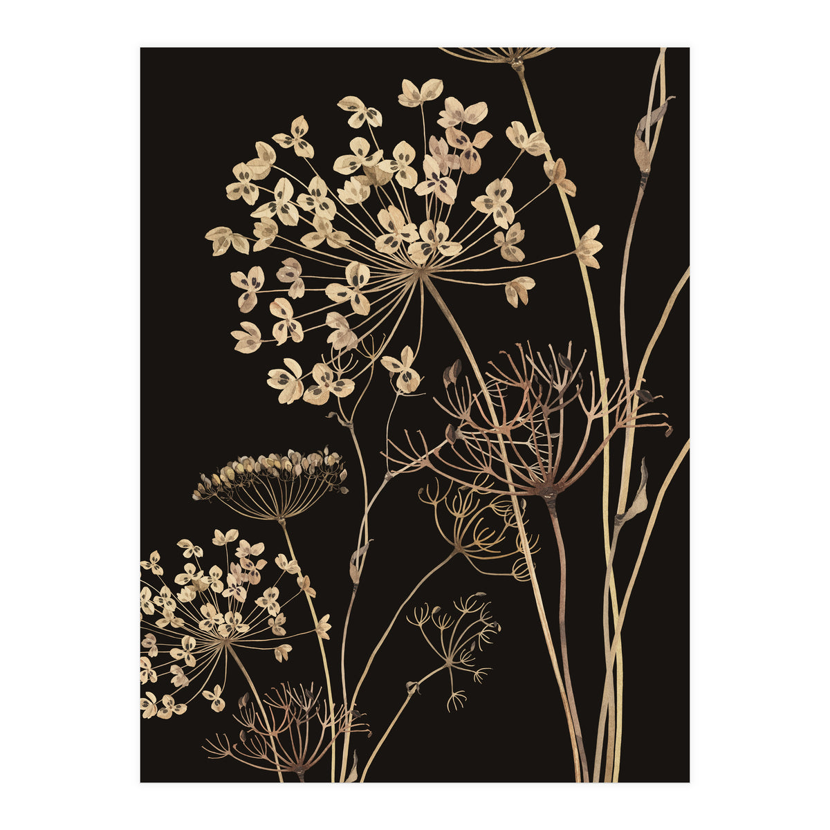 Wildflowers I (Print Only)