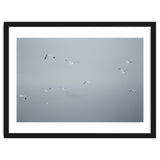 Flying seagulls in the winter sky thumbnail