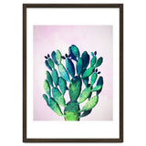 Cactus Three Ways thumbnail