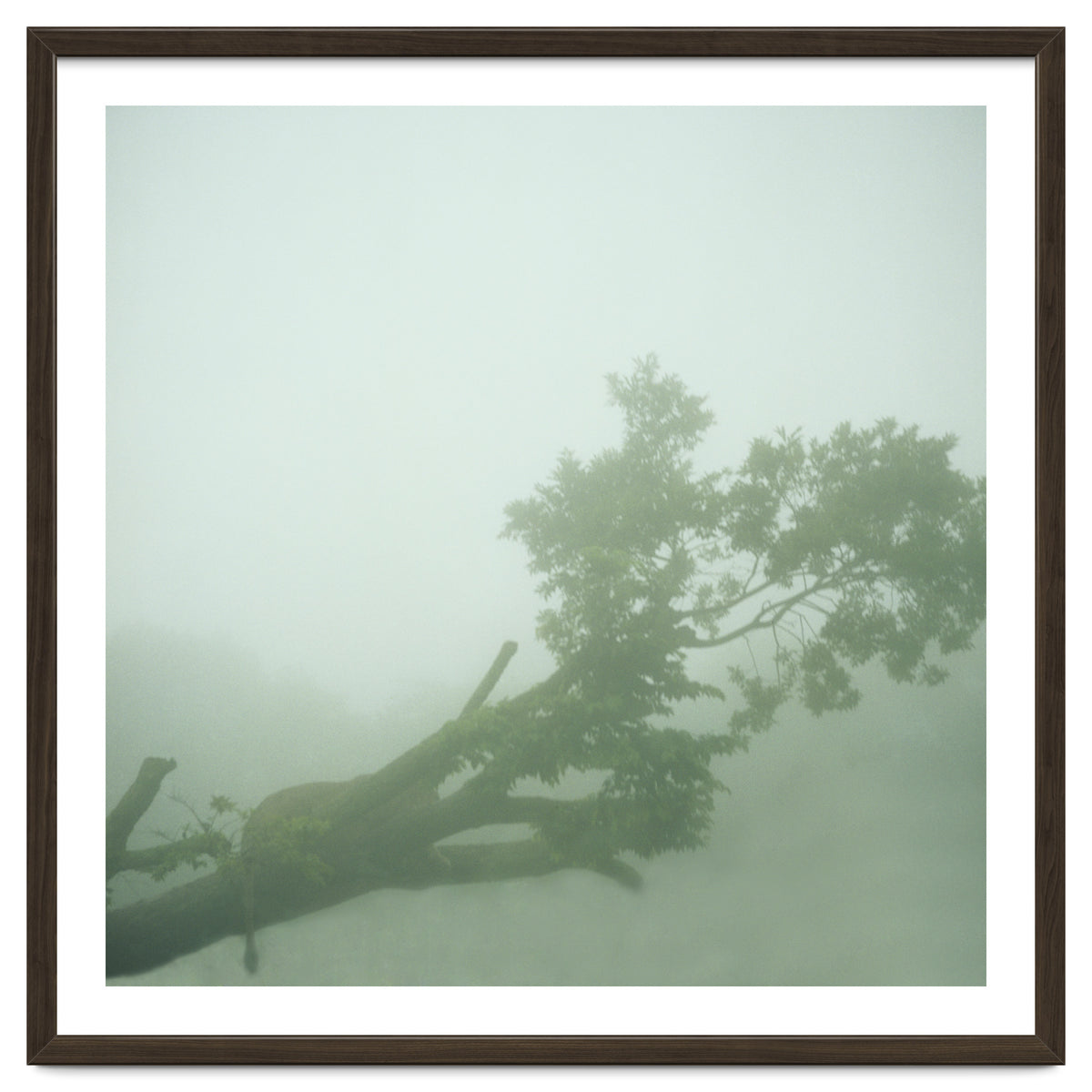 Silence of breath - 07