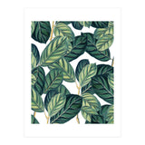 Botany #society6 #decor #buyart (Print Only) thumbnail