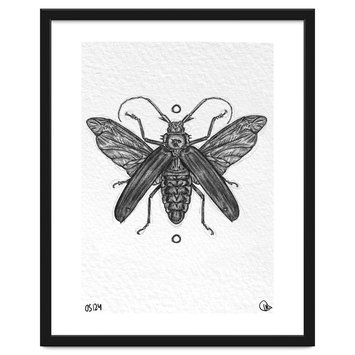 Riesen Longhorn Käfer