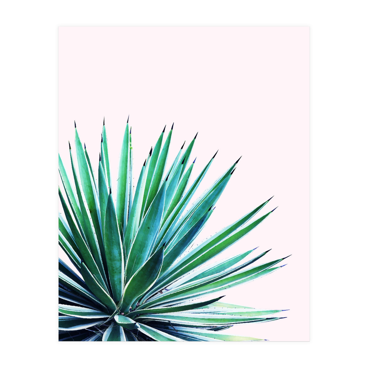 Agave Love #society6 #decor #buyart (Print Only)