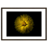 Backyard Flowers No 10 Color Version thumbnail