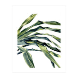 Green Palm Leaves (Print Only) thumbnail