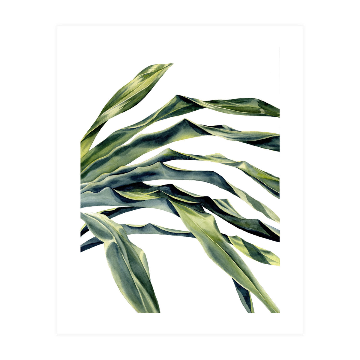 Green Palm Leaves (Print Only)