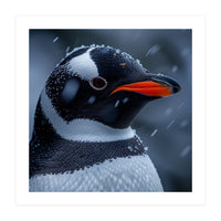 Close Up Penguin Portrait In Snowy Weather (Print Only)