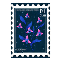 Bedfordshire Bee Orchid Postage Stamp (Print Only)