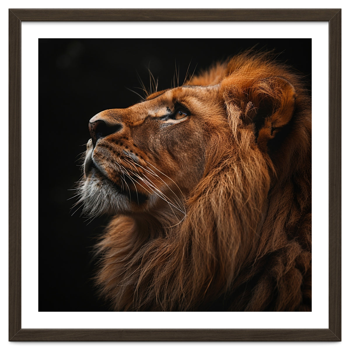 Majestic Lion Portrait Profile Majestic Beast