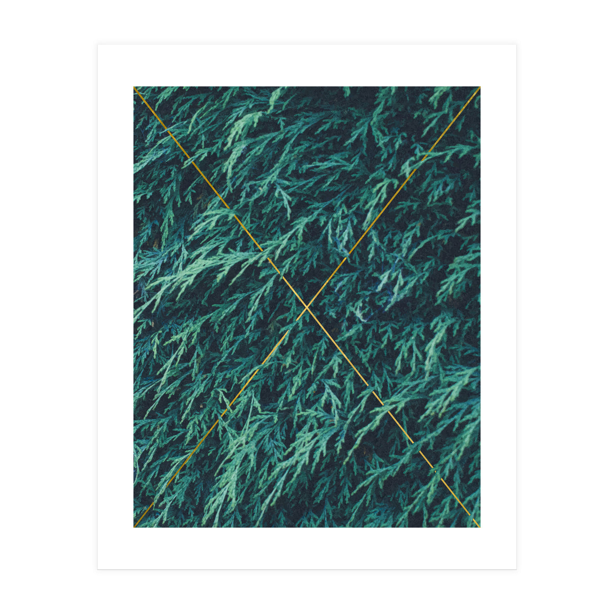 Restricted Reality (Print Only)