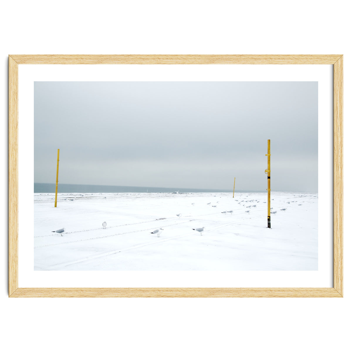 Seagulls in between the volleyball poles in winter snow beach