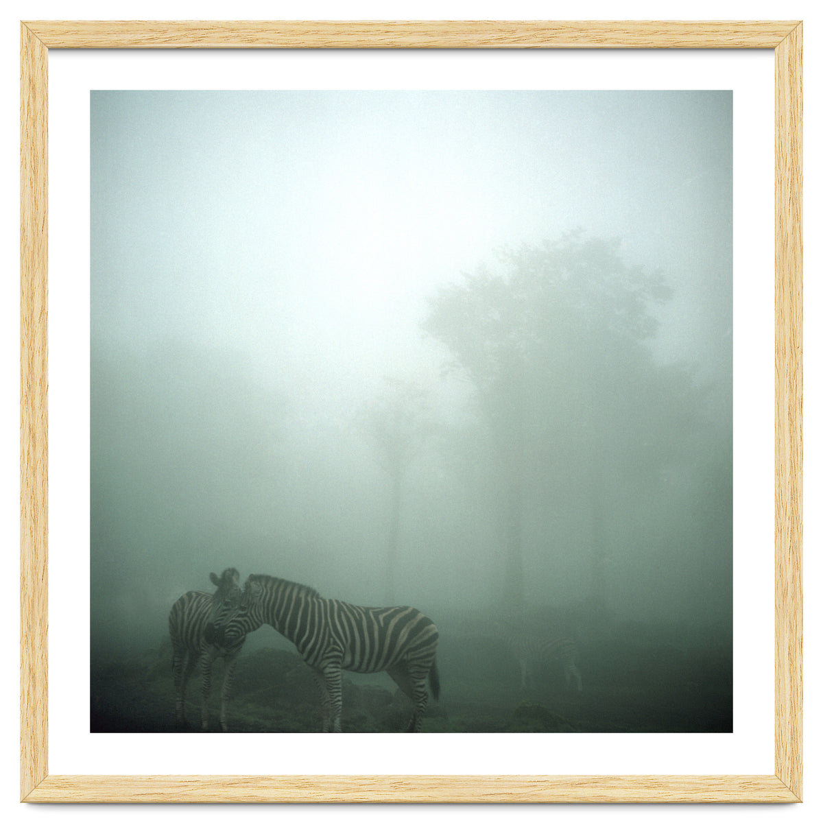 Silence of breath - 15