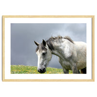 White Horse