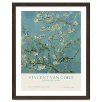 Vincent van Gogh - Almond blossom