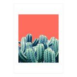 Cactus On Coral (Print Only) thumbnail