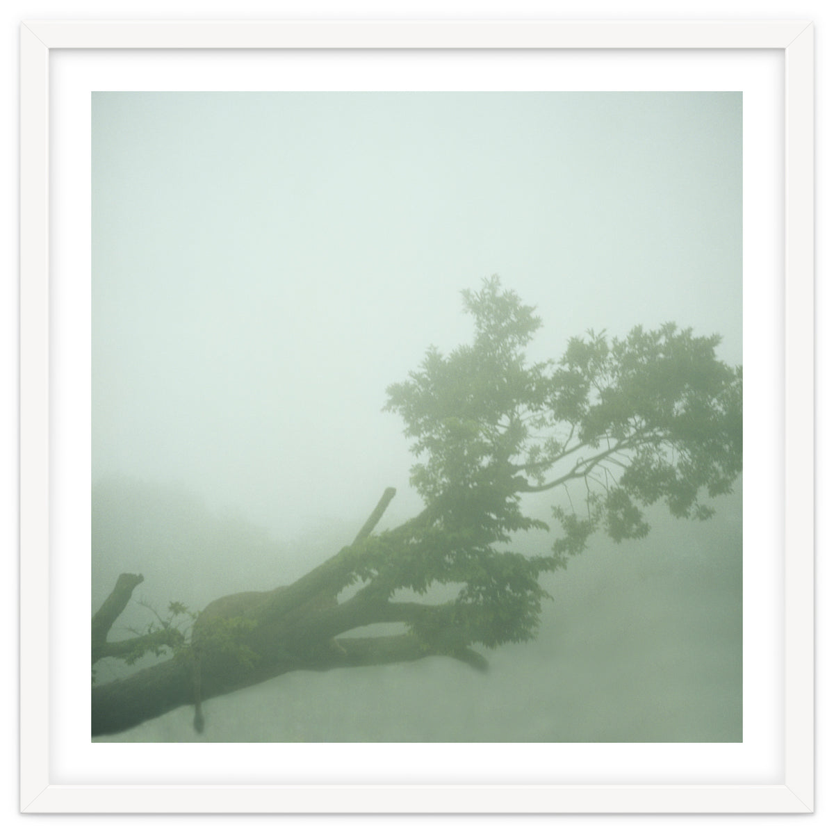 Silence of breath - 07