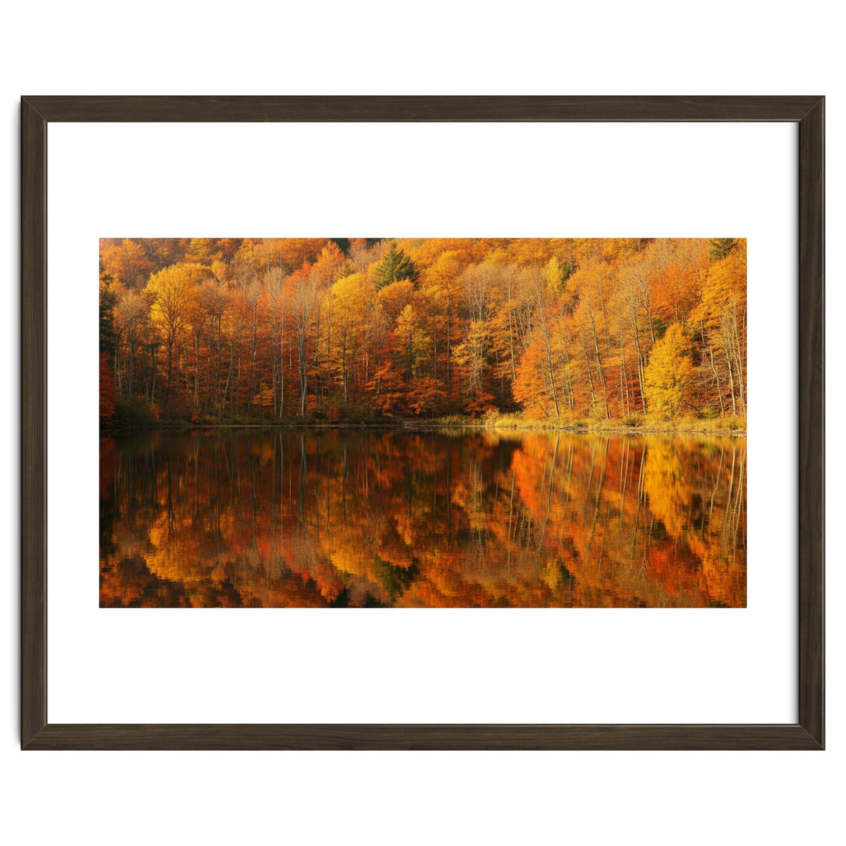 Autumn Reflections