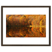 Autumn Reflections