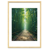 The Emerald Path: A Sun-Drenched Journey thumbnail