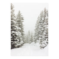 Walk in the winter forest (Print Only)