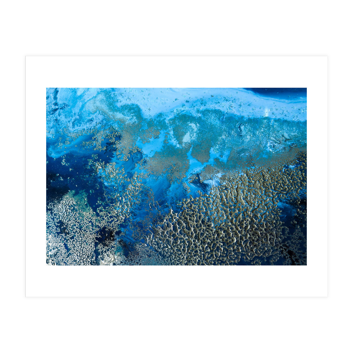 Revitalize (Print Only)