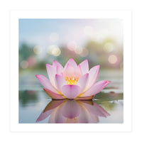 Ethereal Lotus Bloom: Serene Botanical Reflection (Print Only)