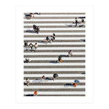 Rain Crossing | Polka Dots Zebra Crossing On The Street | Rain Eclectic Modern Graphic Design (Print Only) thumbnail