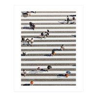 Rain Crossing | Polka Dots Zebra Crossing On The Street | Rain Eclectic Modern Graphic Design (Print Only)