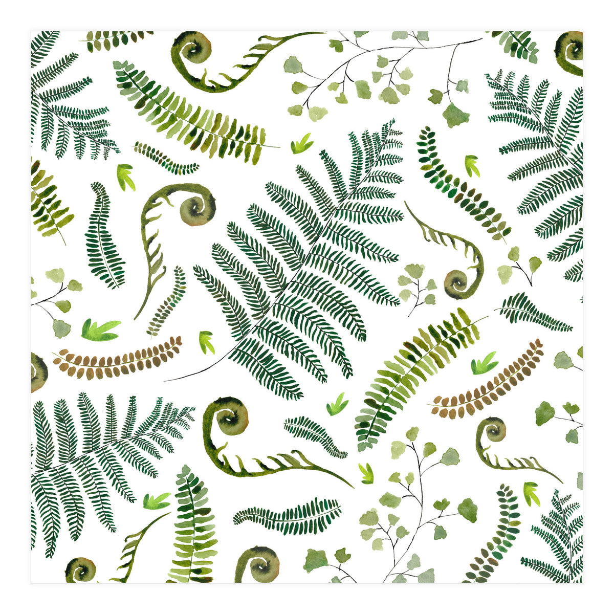 Spring Fern Pattern (Print Only)