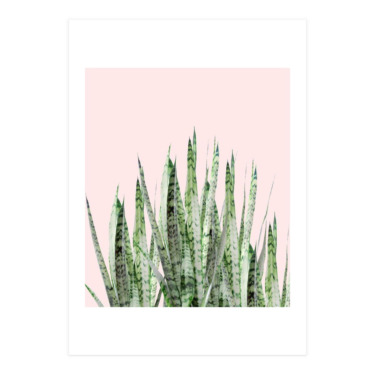 Botanical Balance (Print Only)