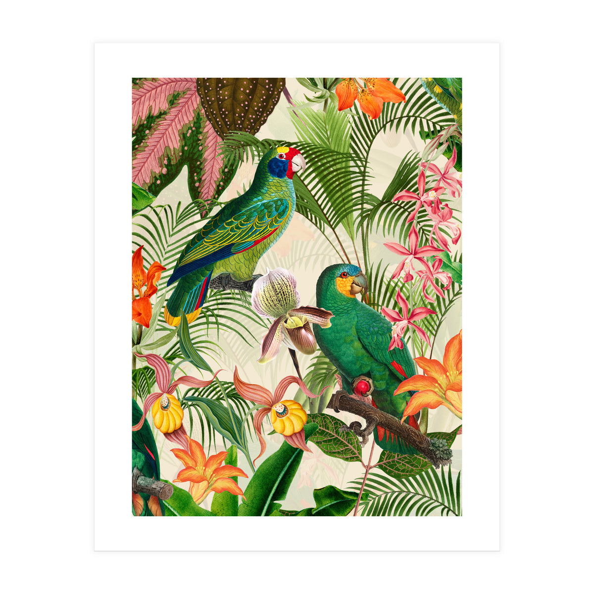 Parrots in tropical Jungle (Print Only)