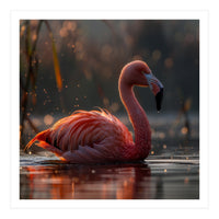 Pink Flamingo Swimming In Sunlight Water (Print Only)