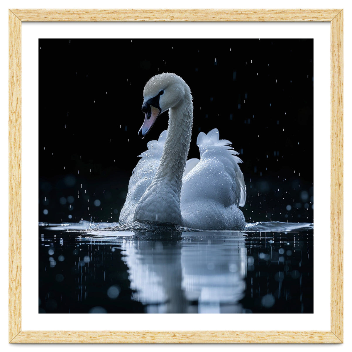 Majestic Swan Swimming In Dark Water