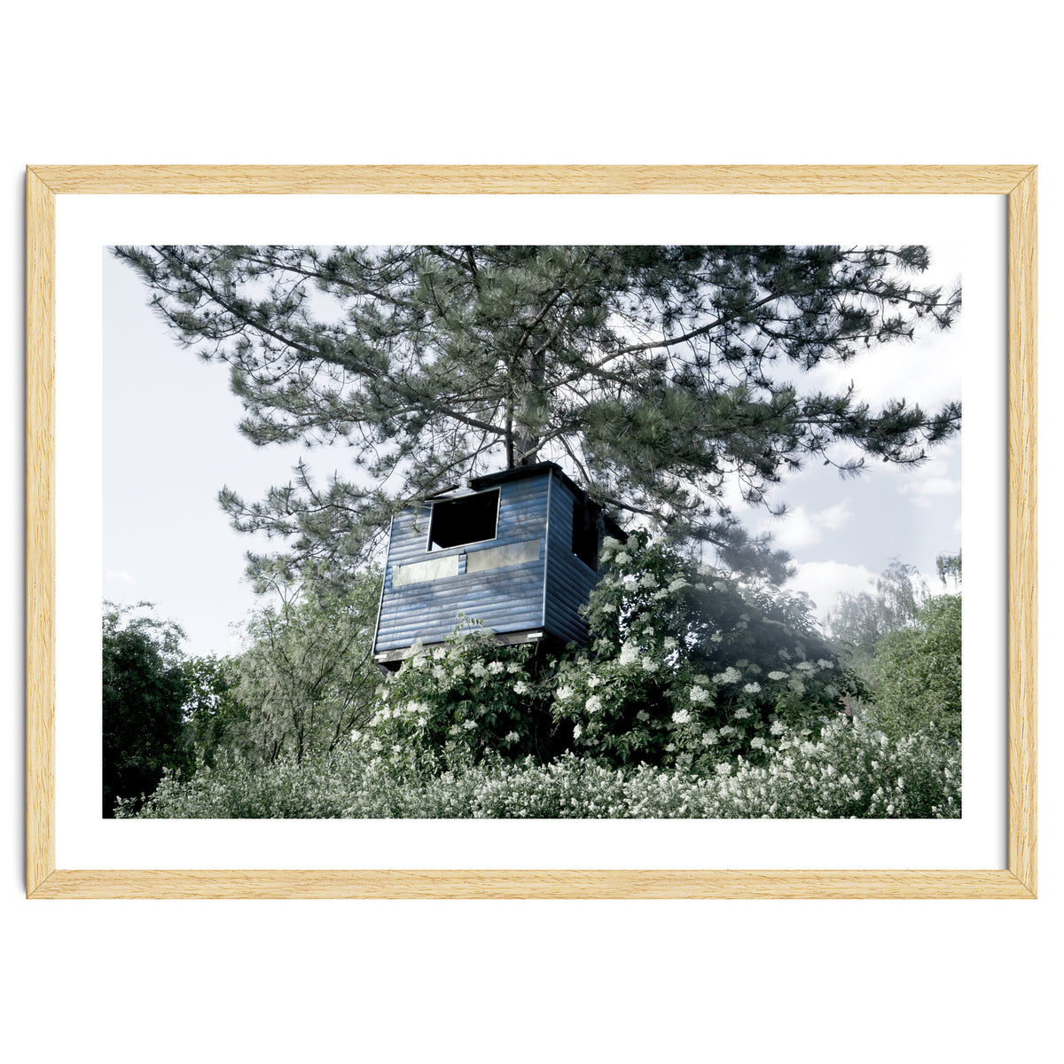 Blue hut on the tree