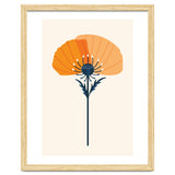 Orange Half Poppy thumbnail