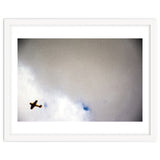 The Little Prince thumbnail