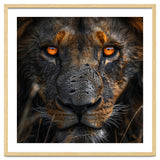 Majestic Lion Face Intense Orange Eyes Close Up thumbnail