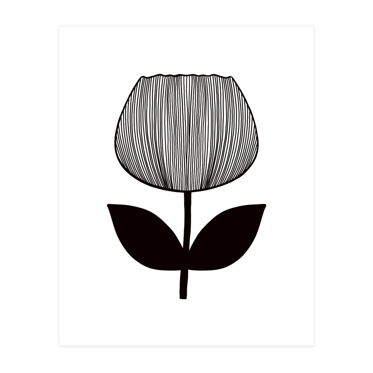 Tulip (Print Only)
