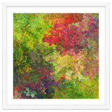 Garden thumbnail