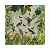 Vintage Exotic Hummingbirds Jungle (Print Only) thumbnail