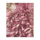 Pink Blossom (Print Only) thumbnail