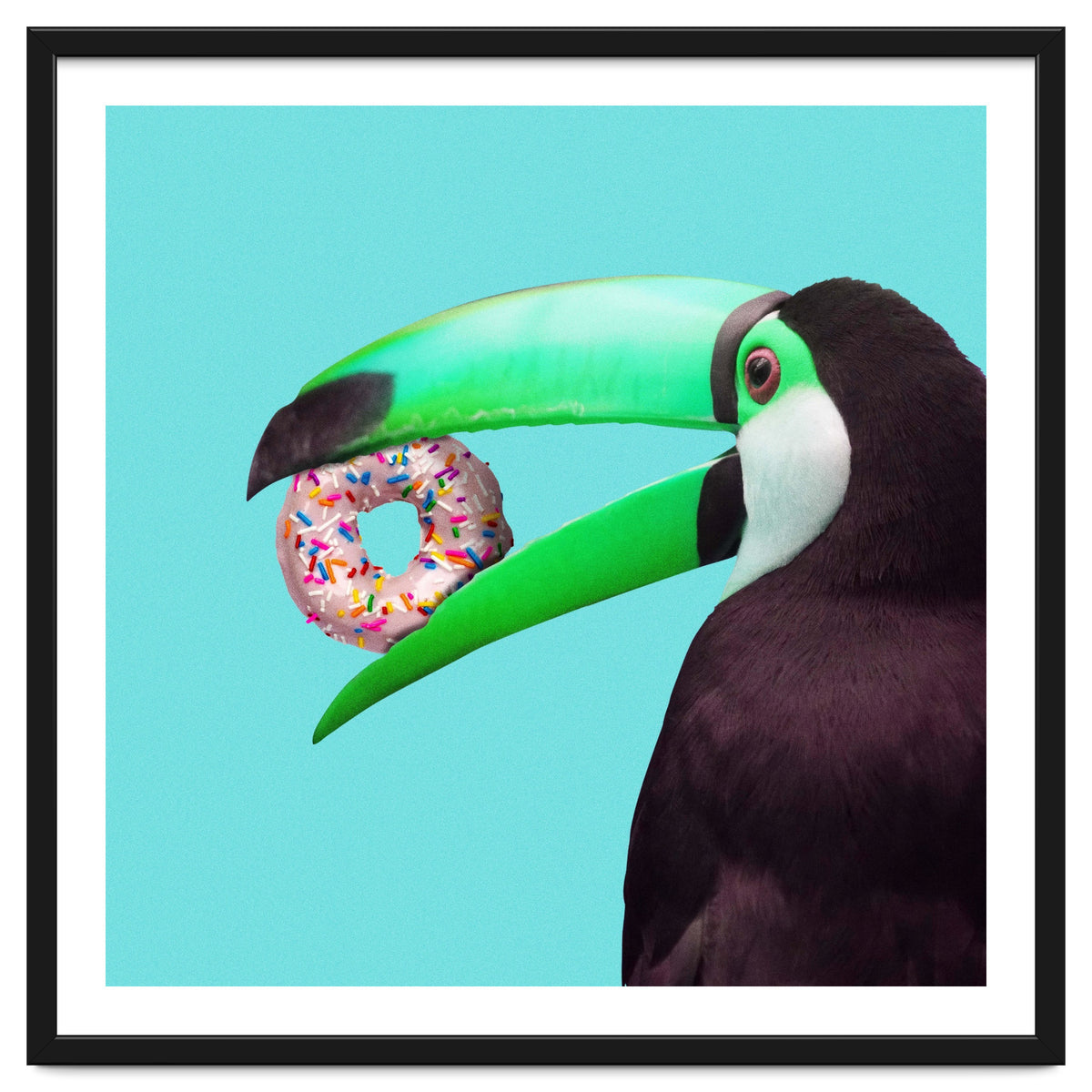 Sweet Toucan